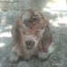 Sarah Faith Callao - Facebook