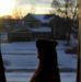 Sarah Callen - Facebook