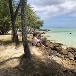 Sarah Canham - @sarah._canham - Instagram