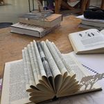 Sarah Canham - @sfcanham - Instagram