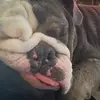 sarahcapps44 - @sarahcapps44 - TikTok