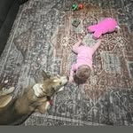 Sarah Carmack - @ksjec2019 - Instagram