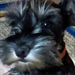 Sarah Carper - @saracc7329 - Instagram