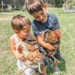 Sarah Casas - @thewholesomehomeschool - Instagram