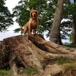 Sarah Caskey - @sarahburnett4902 - Instagram