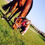 Sarah - @sarah_caspar_2002 - Instagram