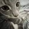 Sarah-Cate 🦦 - @sarahh_cate - TikTok