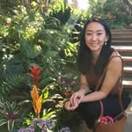 Sarah Chin - @sarahchinabin - Instagram