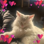 Sarah Clapper - Facebook