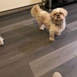 Sarah Clelland - @sarah_clelland - Instagram