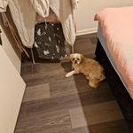 Sarah Clelland - @sarahclell1 - Instagram