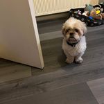 Sarah Clelland - @clelland_sarah - Instagram