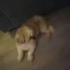 Sarah Clelland - @sarah.clelland - TikTok