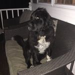 Sarah Cluff - @smileydog1232 - Instagram