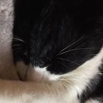 Sarah Cluff - @onybear2000 - Instagram