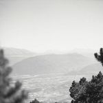 Sarah Cluff Creative - @sarah_cluff_creative - Instagram