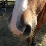Sarah Cockerill - @cockerillsarah - Instagram