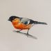 Sarah Cogan - Facebook