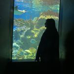 Sarah - @_sarah_colwell_ - Instagram