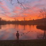 Sarah Colwell - @colwellse - Instagram