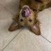 Sarah Jane Comeau - Facebook