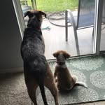 Sarah.Conaway - @sarahkconaway - Instagram