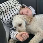 Sarah Meyer Conlin - @sarah_meyer_conlin - Instagram