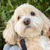 Sarah Conlon - @sarah.conlon2 - TikTok