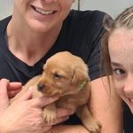 Sarah Cookson - @cooksonsarah - Instagram