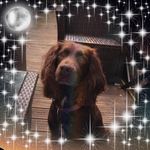 Sarah Graciemay Cookson - @sgc161 - Instagram