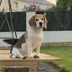 Sarah 'Higman' Cootes - @sarah.cootes - Instagram