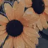 Sarah_tucocopas - @sarah.32468 - TikTok