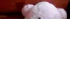 lululeasha - @sarah.coren28 - TikTok
