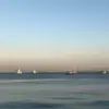 sarah.corens - @sarah.corens - TikTok