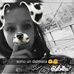 Sarah Cottone - Facebook