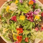 Sarah Cousins - @good_for_a_party - Instagram