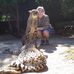 Sarah Cousins - Facebook