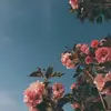 Sarah Coventry - @sarahxcoventry_ - TikTok