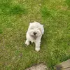 Sarah Coy - @sarah.coy1 - TikTok