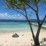 Sarah Cracknell - @sarah.cracknell.35 - Instagram