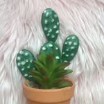 Sarah crafton - @aesthetics.cacti - Instagram