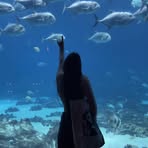 Sarah Cribb - Facebook