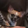 Sarah C - @sarah.cristobal - TikTok