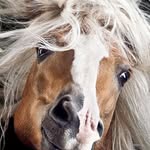 Sarah Croft - @sarah.croft.7946281 - Instagram