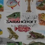 Sarahcroft's Illustrations - @sarahcrofts_illustrations - Instagram
