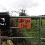 Sarah Crooks - @littlegreenfarm_leitrim - Instagram