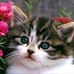 Sarah Current - Facebook