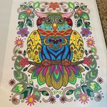 🦉🦉Sarah🦉🦉 - @sarah_curzon - Instagram