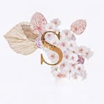 Sarah Daoust - @sarah._esthetique - Instagram