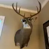 Sarah Deavers - @sarahdeavers - TikTok